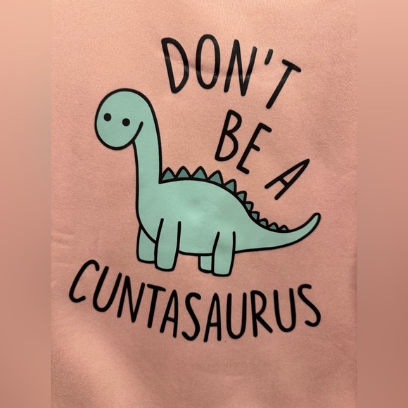 Women’s Medium Don’t Be A C*ntasaurus Pullover Sweater in pink NWOT - Picture 2 of 8